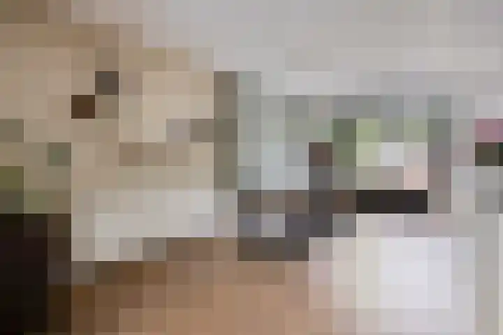 Puthof 29 Eindhoven thumbnail 8