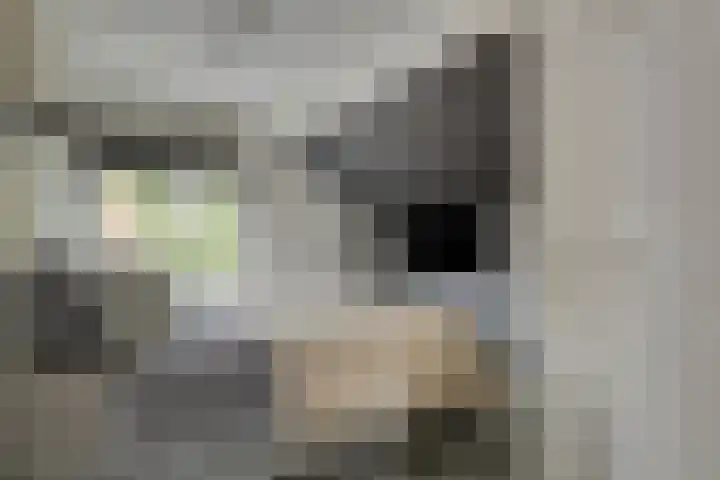 Putkop 6 Harmelen thumbnail 17