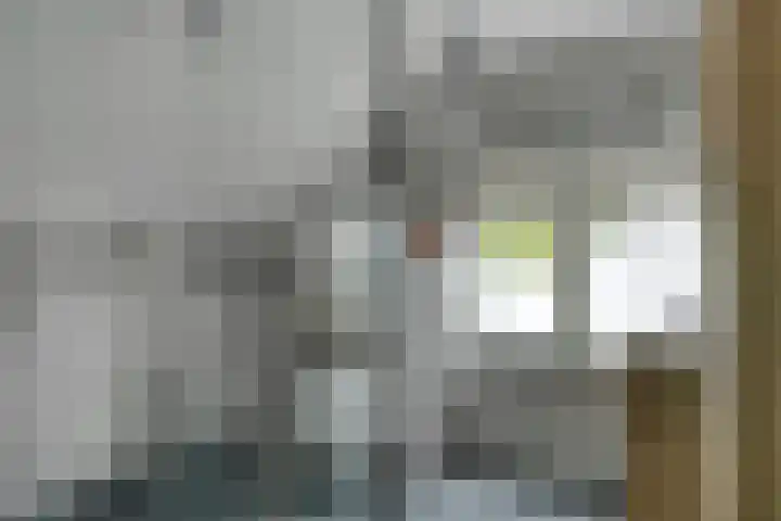 Putkop 6 Harmelen thumbnail 21