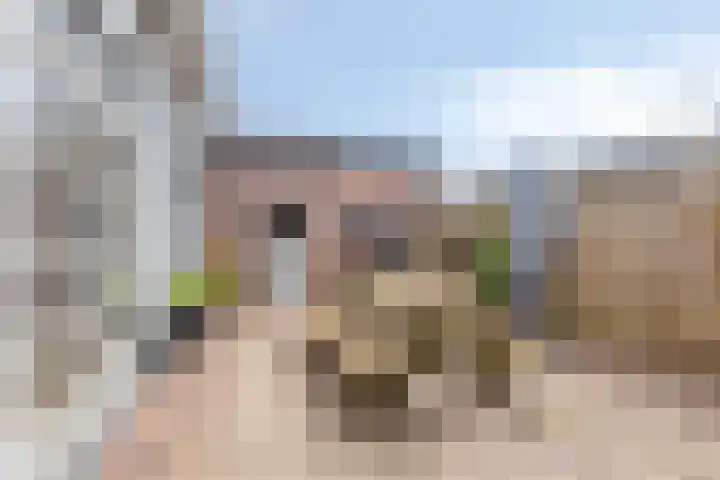 Putkop 6 Harmelen thumbnail 28