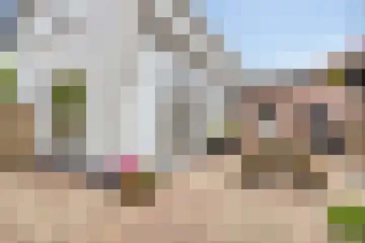 Putkop 6 Harmelen thumbnail 29