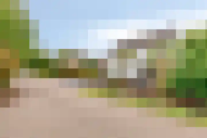 Putkop 6 Harmelen thumbnail 32