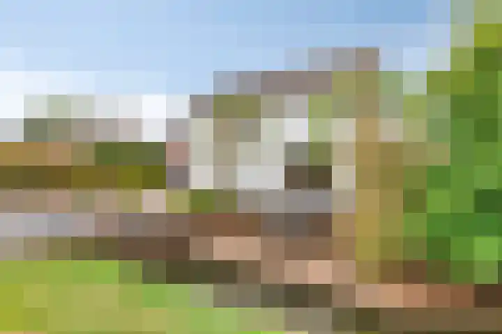 Putkop 6 Harmelen thumbnail 33