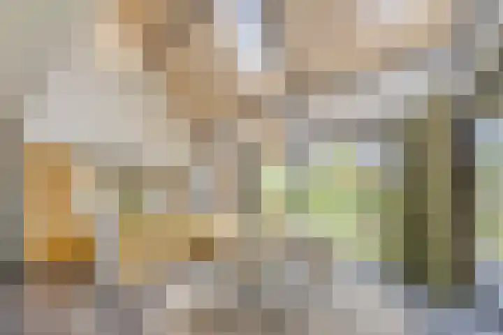 Putselaarstraat 2 Haps thumbnail 10