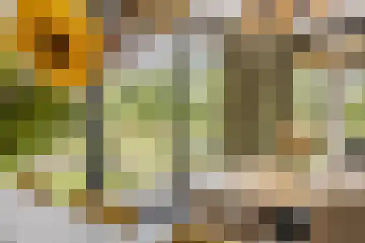 Putselaarstraat 2 Haps thumbnail 12