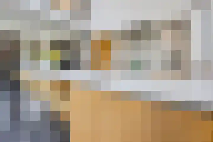 Putselaarstraat 2 Haps thumbnail 13