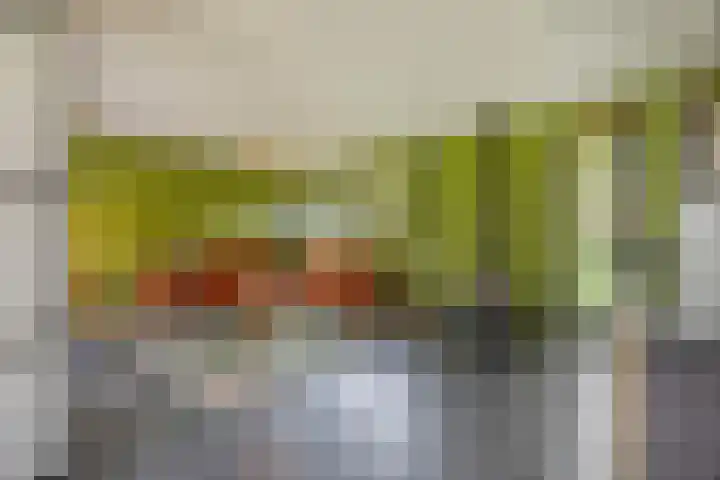 Putselaarstraat 2 Haps thumbnail 18