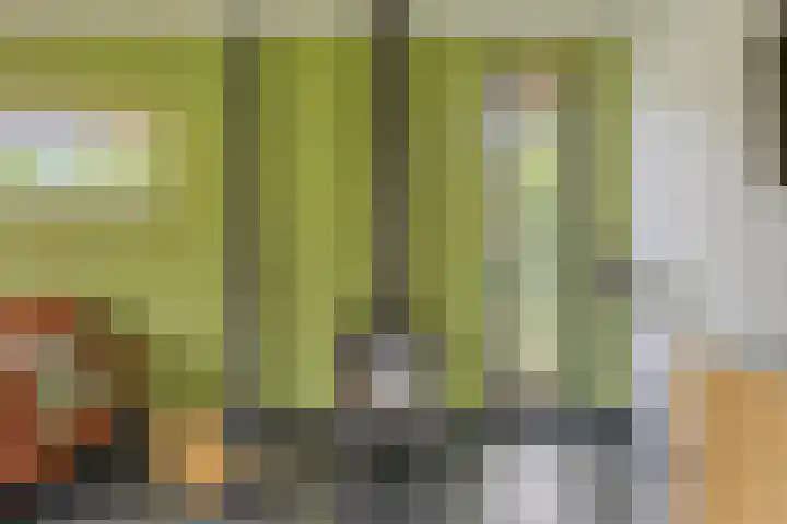 Putselaarstraat 2 Haps thumbnail 19