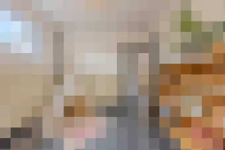 Putselaarstraat 2 Haps thumbnail 21