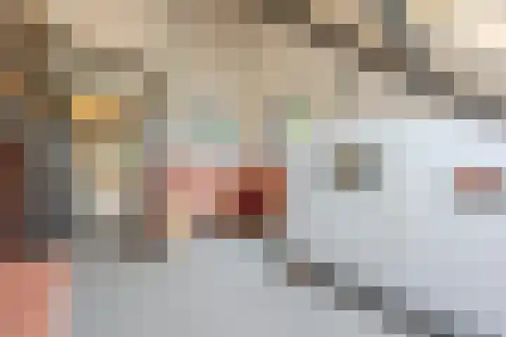 Putselaarstraat 2 Haps thumbnail 29