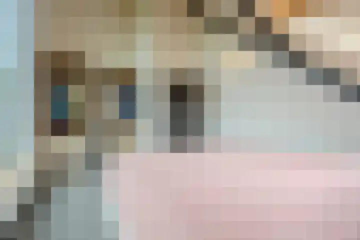 Putselaarstraat 2 Haps thumbnail 32