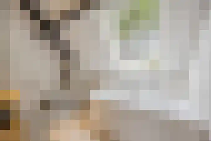 Putselaarstraat 2 Haps thumbnail 35