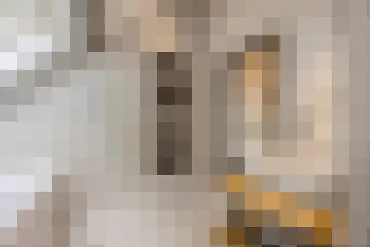 Putselaarstraat 2 Haps thumbnail 38