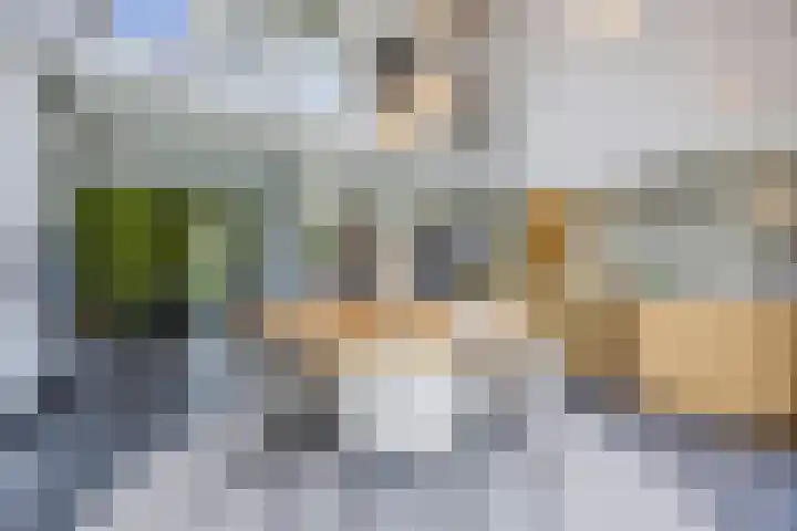 Putselaarstraat 2 Haps thumbnail 4