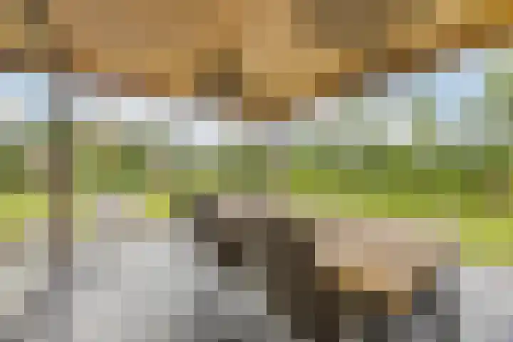Putselaarstraat 2 Haps thumbnail 41