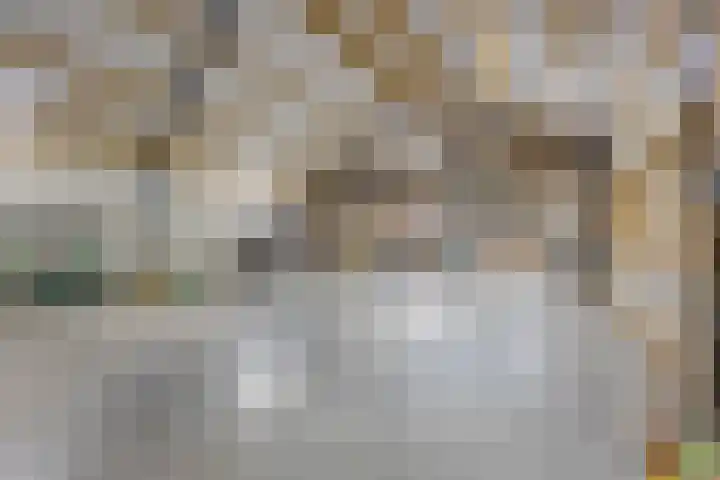 Putselaarstraat 2 Haps thumbnail 44