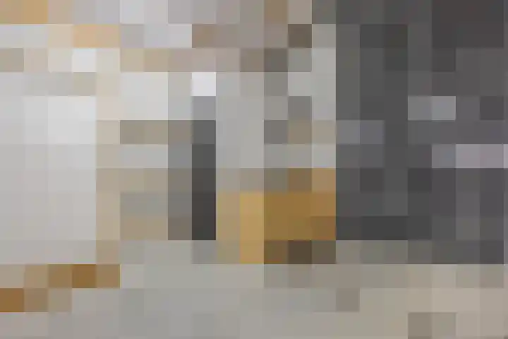 Putselaarstraat 2 Haps thumbnail 47