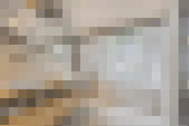 Putselaarstraat 2 Haps thumbnail 5