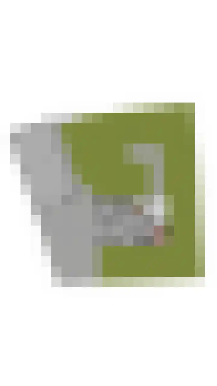 Putselaarstraat 2 Haps thumbnail 56