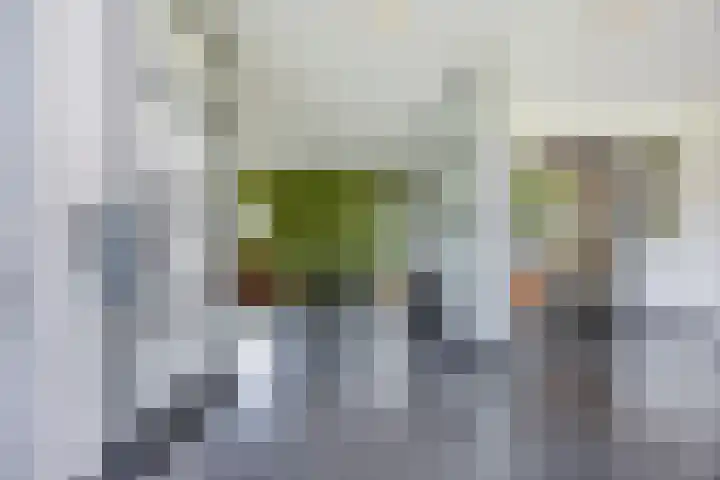 Putselaarstraat 2 Haps thumbnail 6
