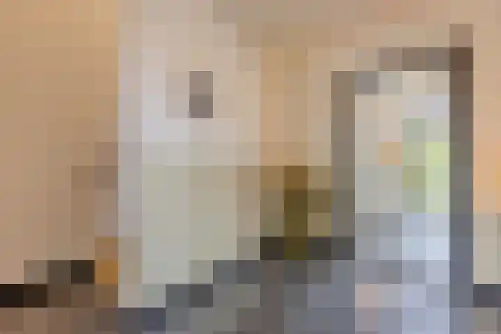 Putselaarstraat 2 Haps thumbnail 8