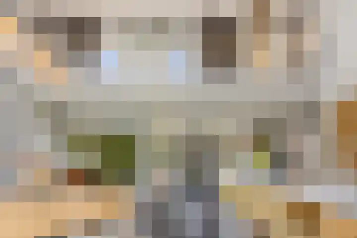 Putselaarstraat 2 Haps thumbnail 9