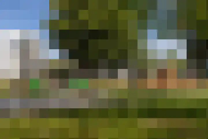 Putstraat 26 Eckelrade thumbnail 15