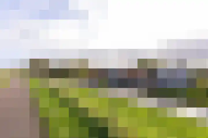 Putstraat 26 Eckelrade thumbnail 32