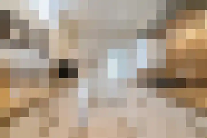 Putstraat 29 Waalwijk thumbnail 9