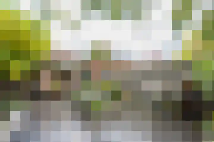 Putstraat 61 Waalwijk thumbnail 33