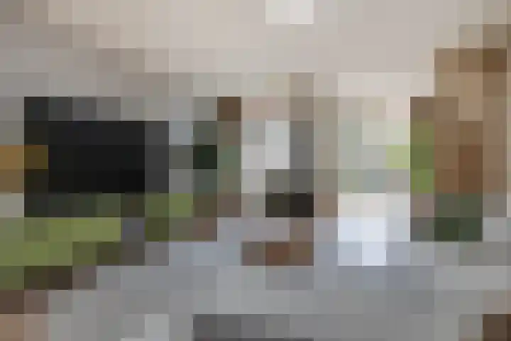 Putstraat 75 Sittard thumbnail 15