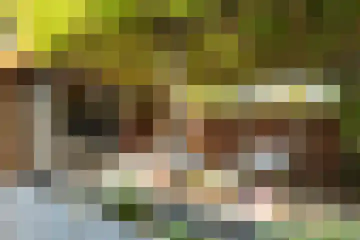 Putstraat 75 Sittard thumbnail 52