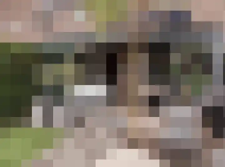 Putter 18 Etten-Leur thumbnail 37