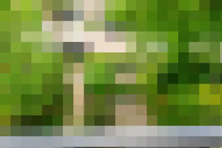 Putterlaan 13 Leidschendam thumbnail 26