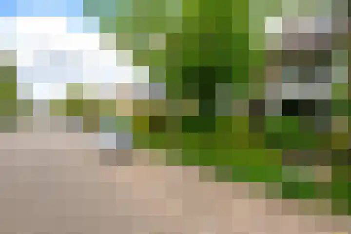 Putterlaan 13 Leidschendam thumbnail 4