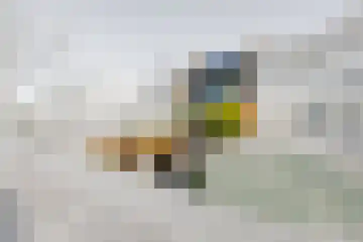 Putterlaan 7 Leidschendam thumbnail 5