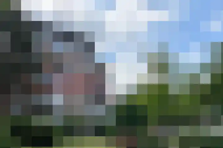 Putterlaan 89 Bilthoven thumbnail 4