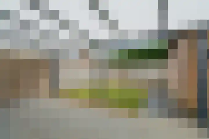 Puttershof 46 Gennep thumbnail 20