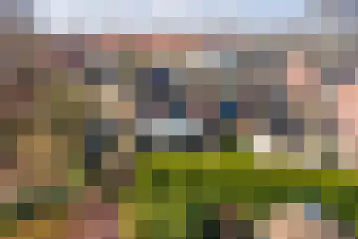 Puttershof 46 Gennep thumbnail 26
