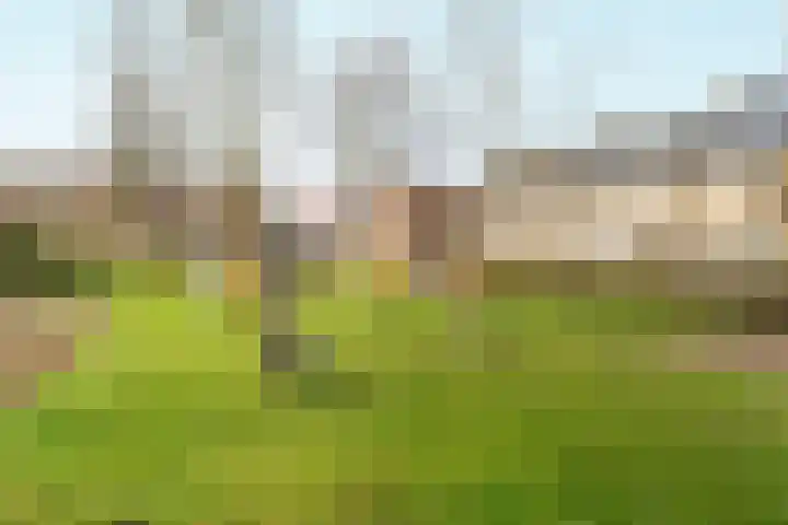Puttershof 46 Gennep thumbnail 27