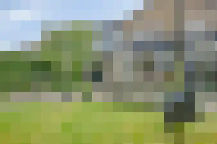 Putterstraat 10 Wijchen thumbnail 40