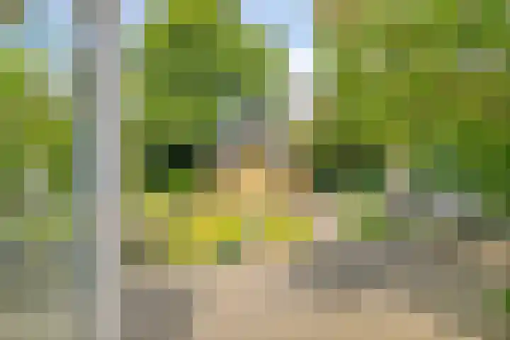 Putterstraat 10 Wijchen thumbnail 41