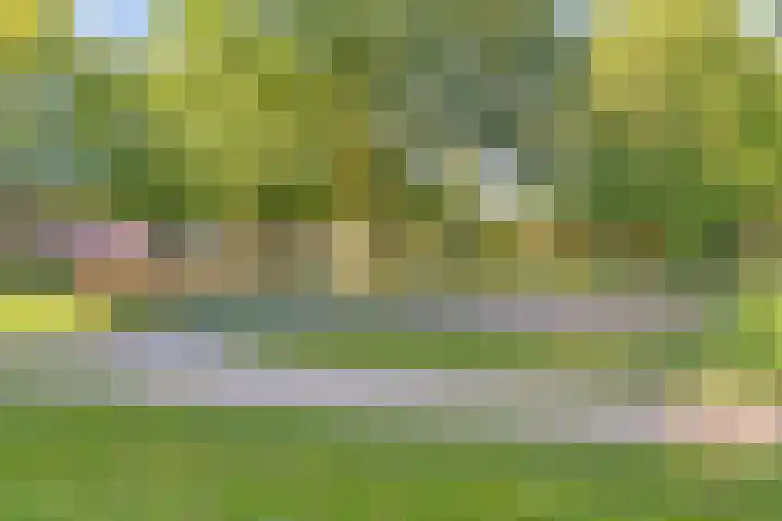 Putterstraat 3 Oldenzaal thumbnail 28