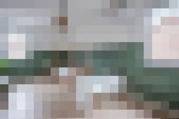 Putterstraat 57 Vessem thumbnail 39