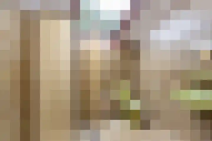 Putterweg 52 Ermelo thumbnail 32