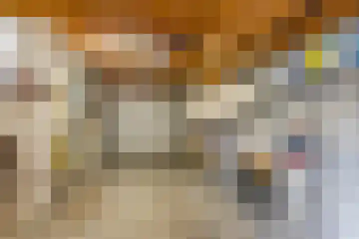 Putven 9 Goirle thumbnail 21