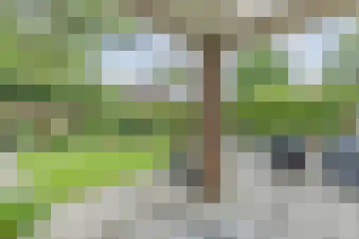 Putven 9 Goirle thumbnail 25