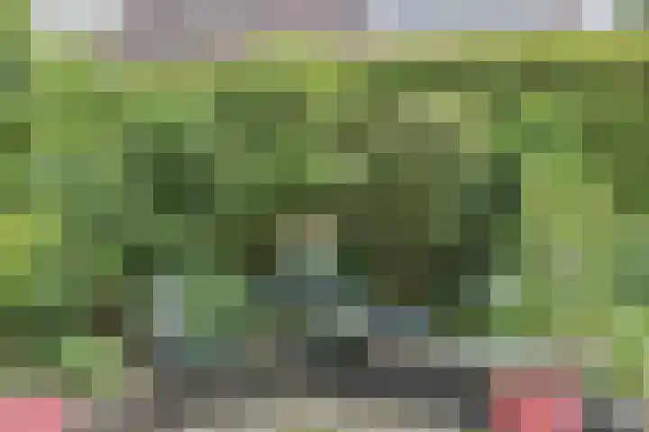 Putven 9 Goirle thumbnail 28