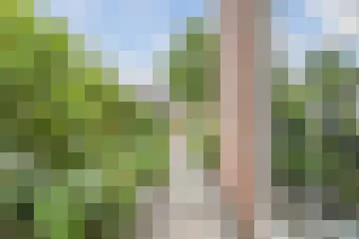 Putven 9 Goirle thumbnail 30