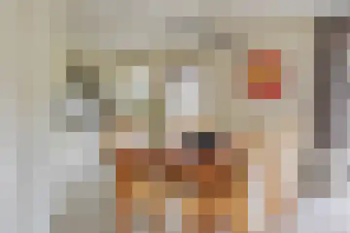 Putven 9 Goirle thumbnail 7